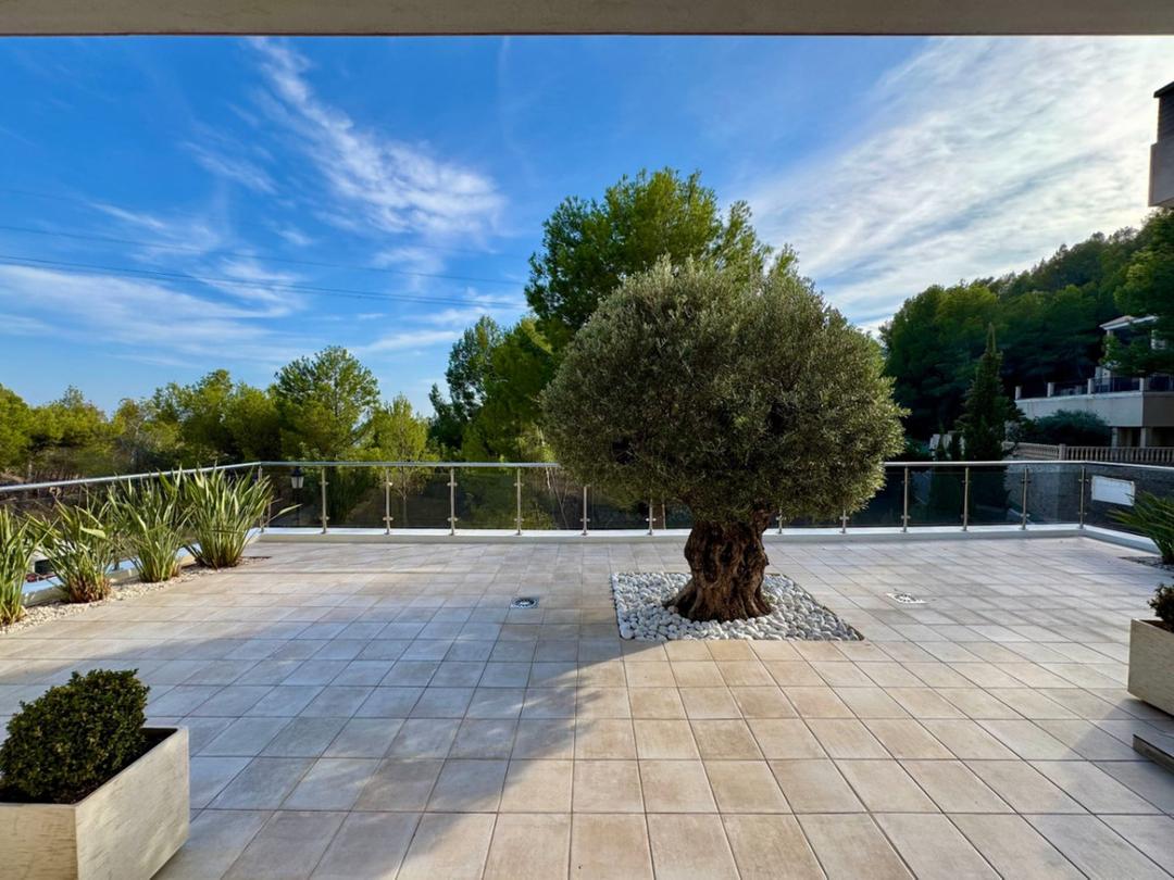 property gallery image 3
