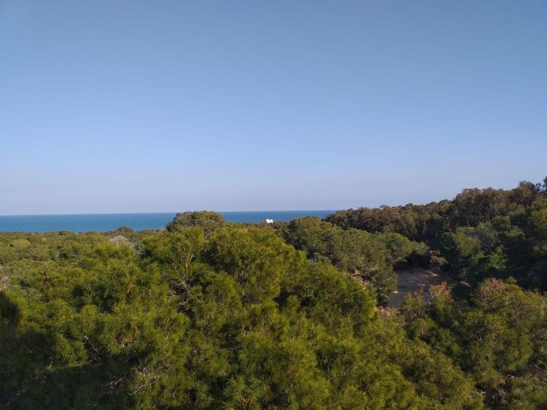 property gallery image 12