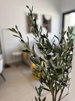 property gallery image 15