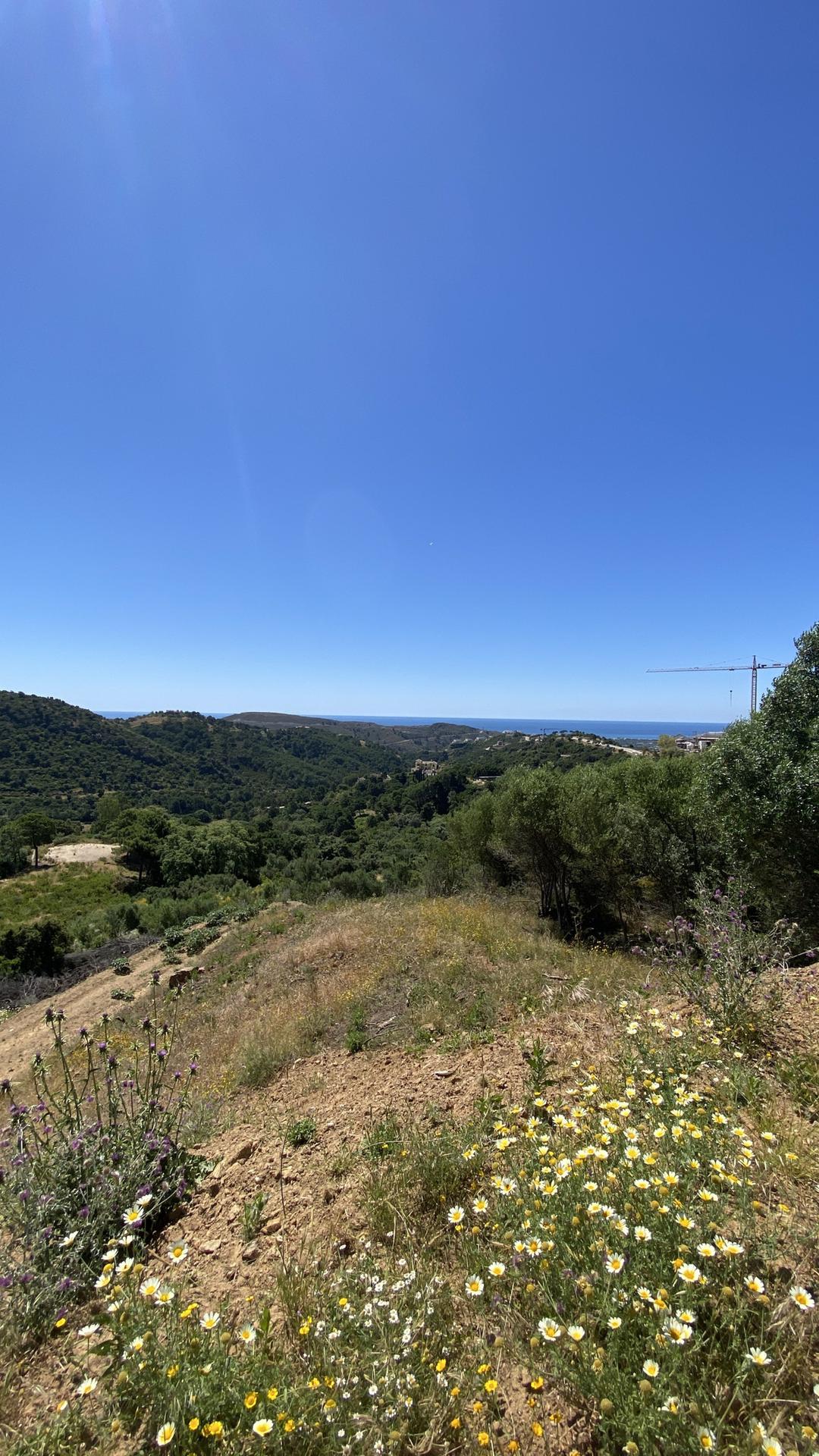 property gallery image 9