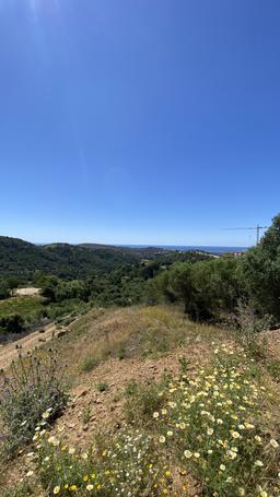 property gallery image 9