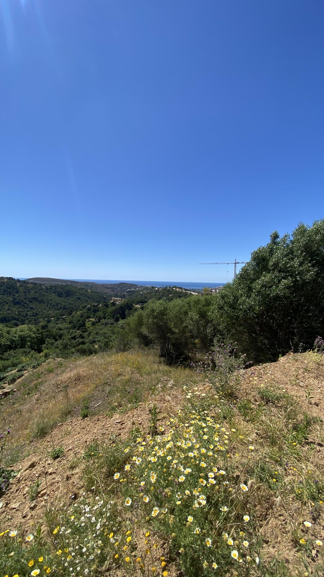 property gallery image 8