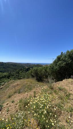 property gallery image 8