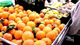 property gallery image 29