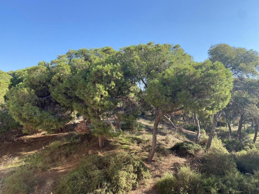 property gallery image 15