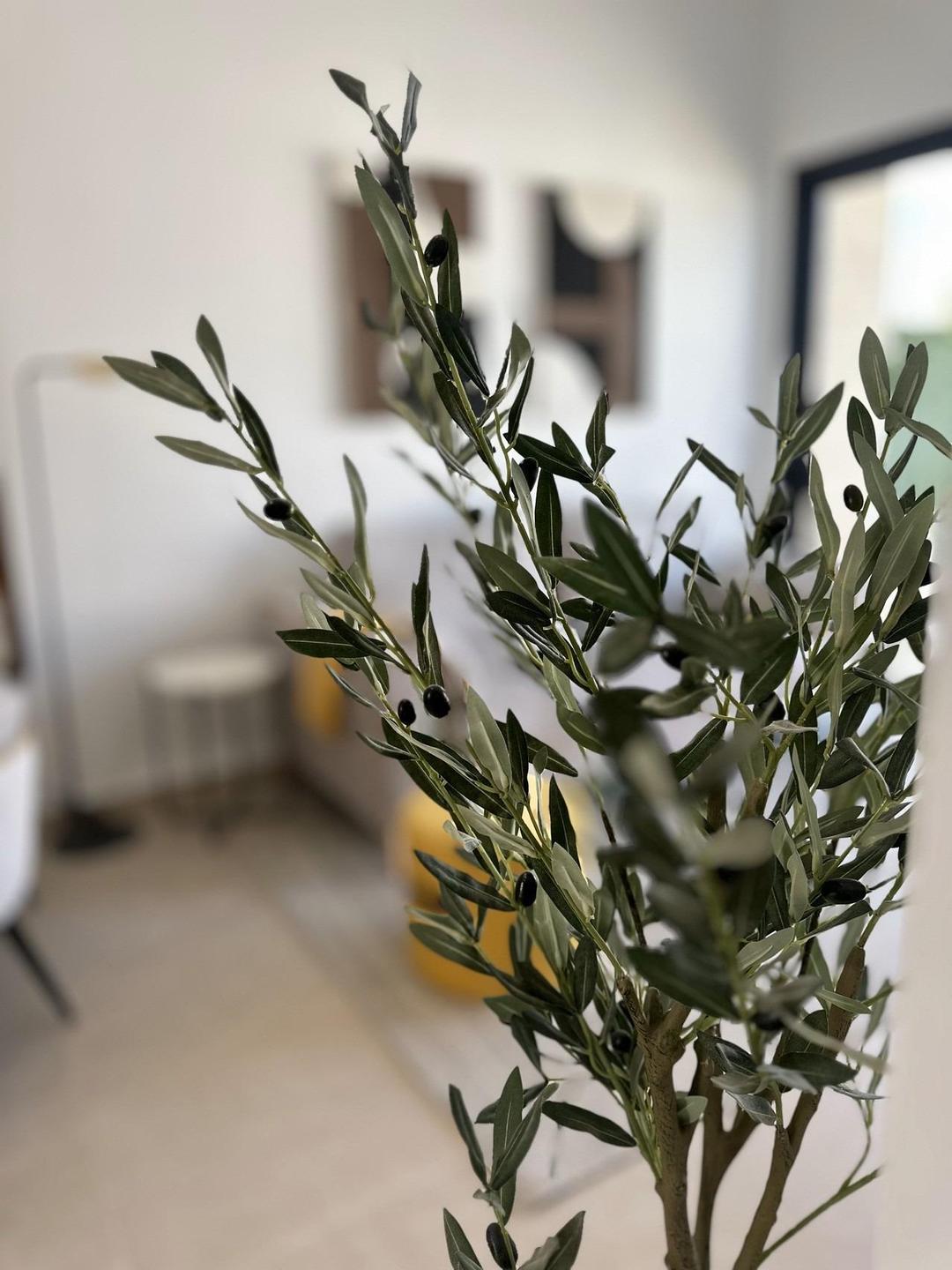 property gallery image 13