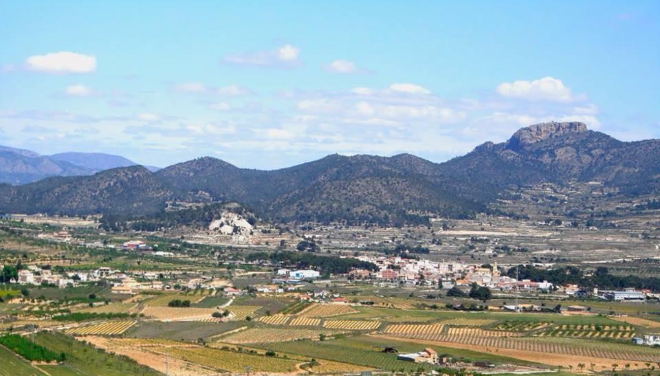 property gallery image 14