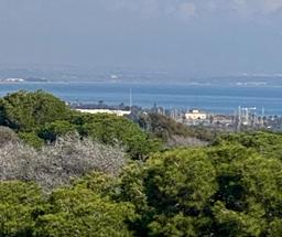 property gallery image 17