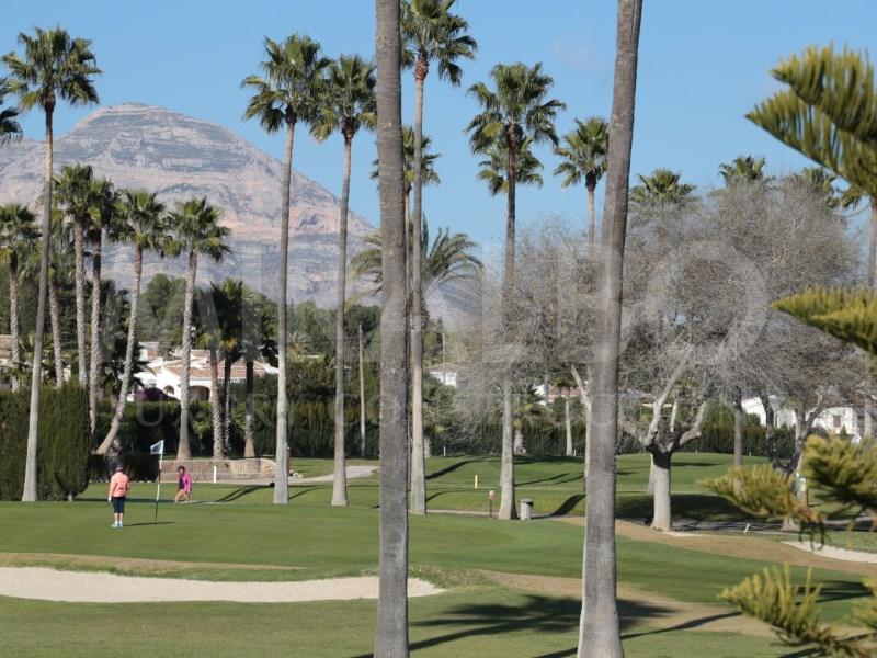 property gallery image 7