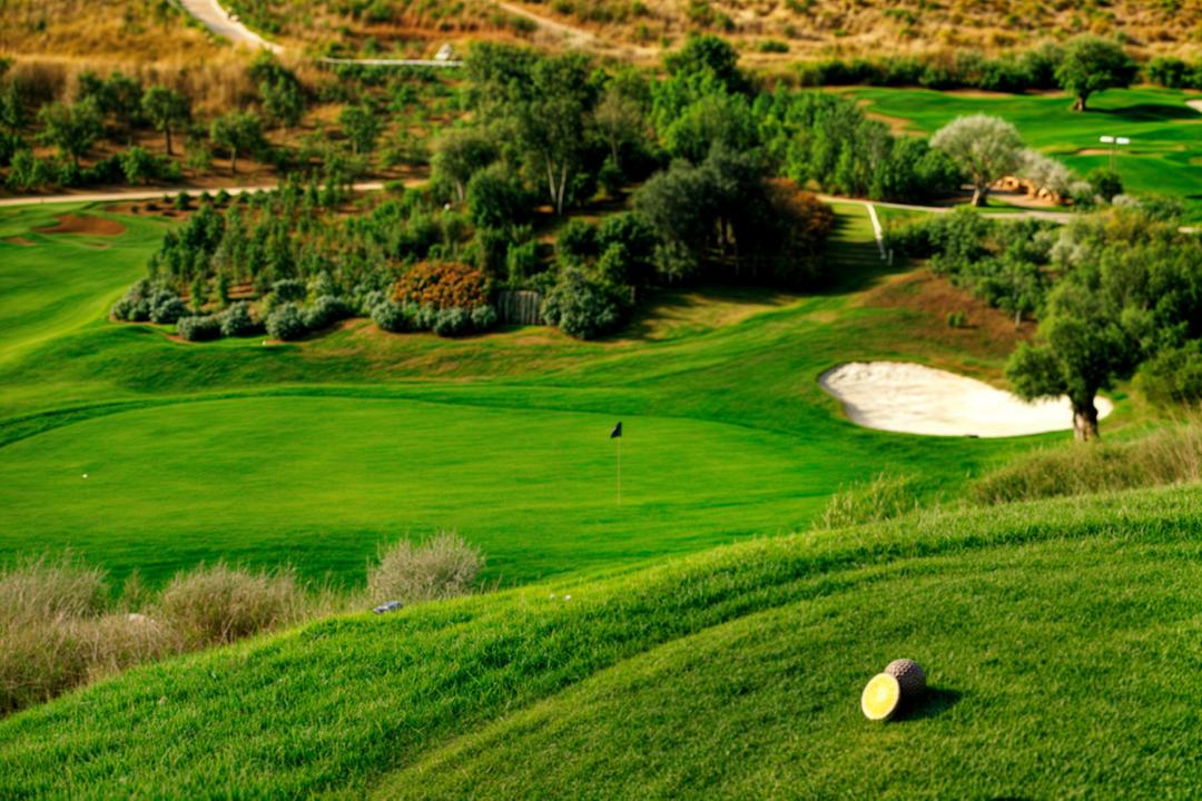 property gallery image 4