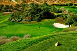 property gallery image 4