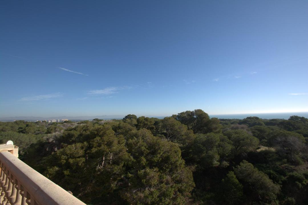 property gallery image 14