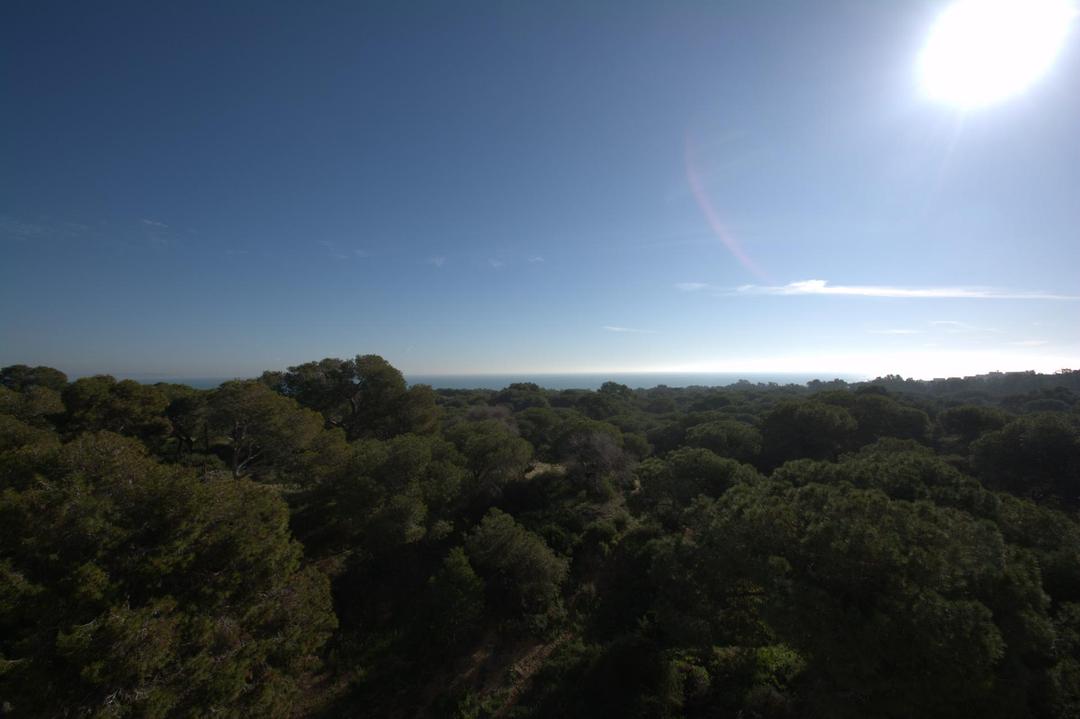 property gallery image 13