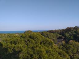 property gallery image 11