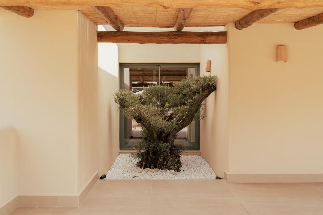 property gallery image 4