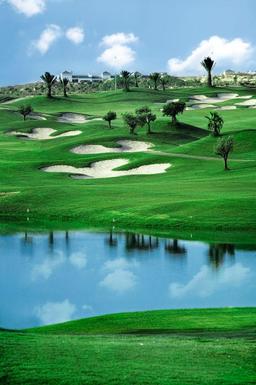 property gallery image 6