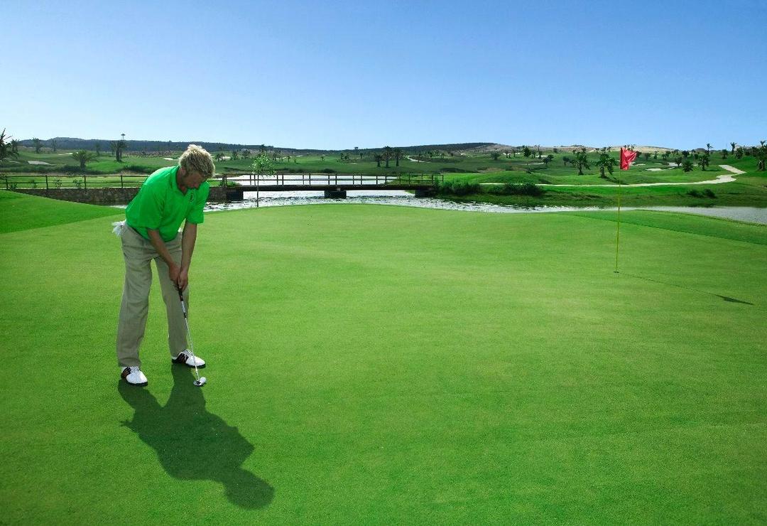 property gallery image 4