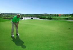 property gallery image 4