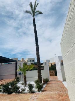 property gallery image 10