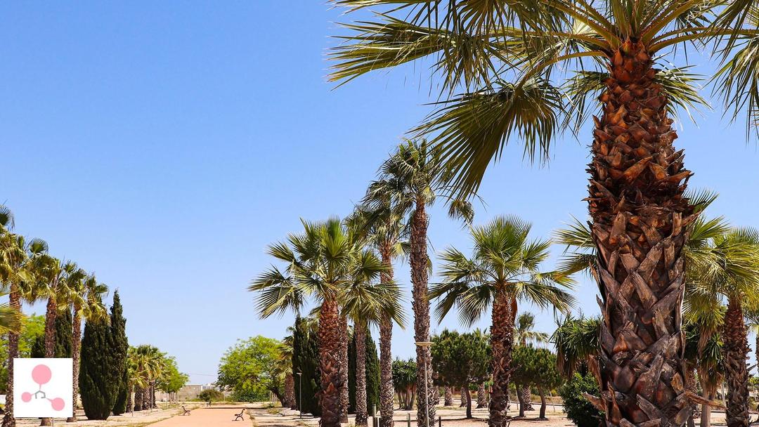 property gallery image 13