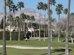 property gallery image 6