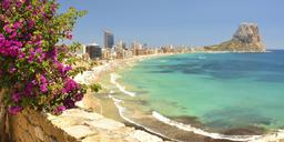 property gallery image 20