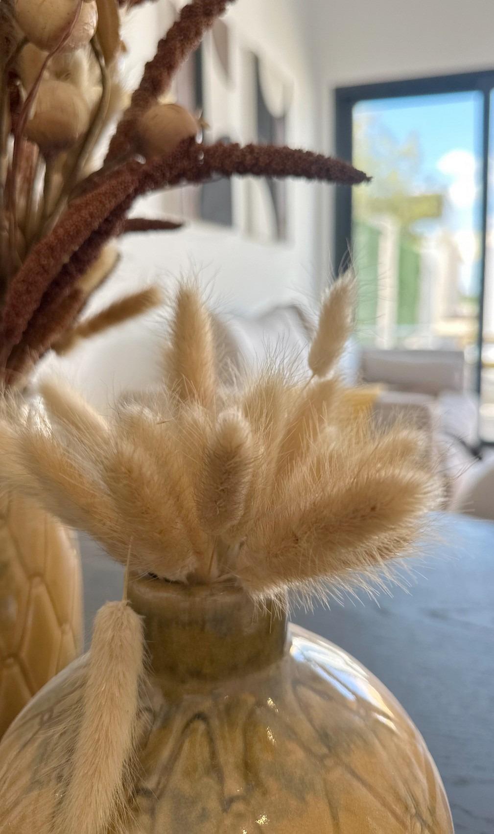 property gallery image 5