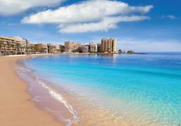 property gallery image 3