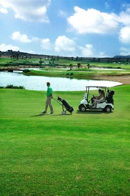 property gallery image 5