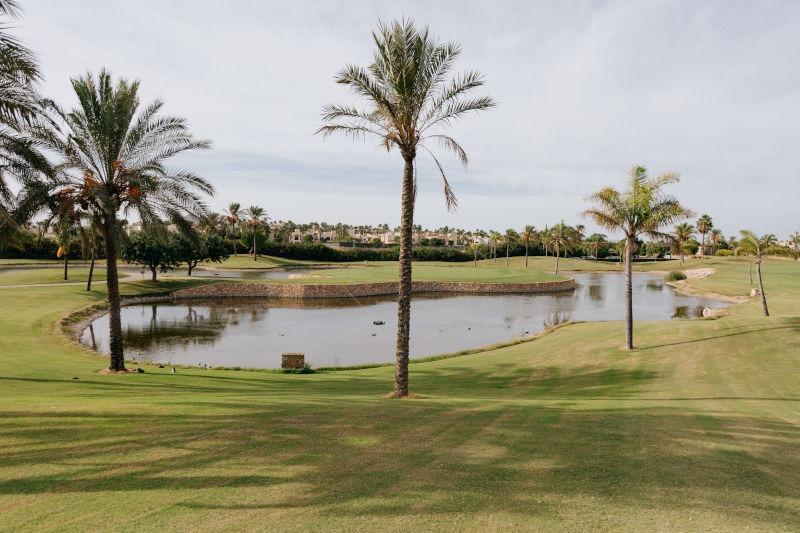 property gallery image 6