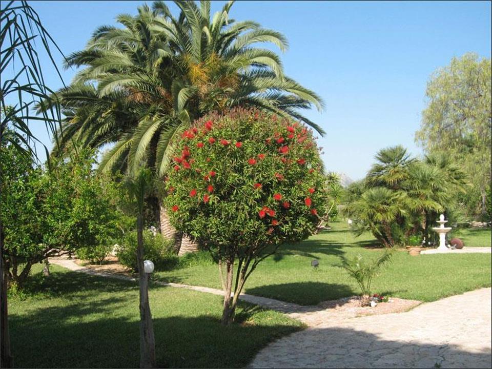 property gallery image 7