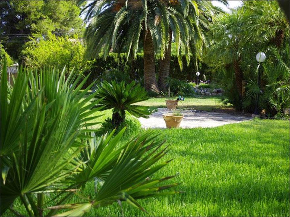 property gallery image 8