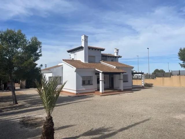 trasera olivo