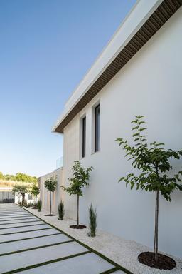 property gallery image 57