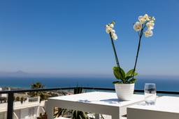 property gallery image 2