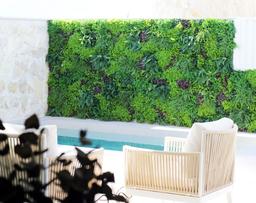 property gallery image 24