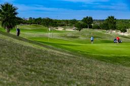 property gallery image 38